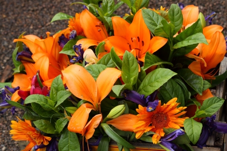 FLOWERの写真素材