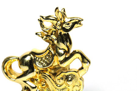 Horse goldの写真素材