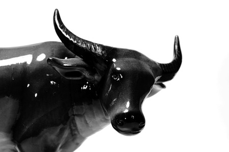 buffalo statueの写真素材