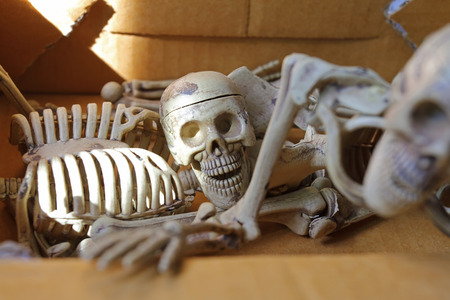 Toy skeleton for Halloween