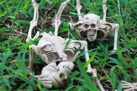 Toy skeleton for Halloween