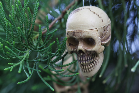 Toy skeleton for Halloweenの写真素材
