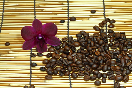 cooffee beansの写真素材