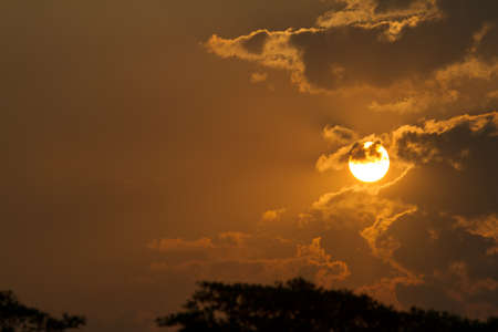 The sun over a ton of trees at the dawn of a new day.の写真素材