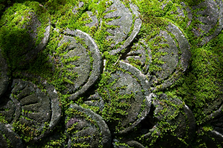 mos on statueの写真素材