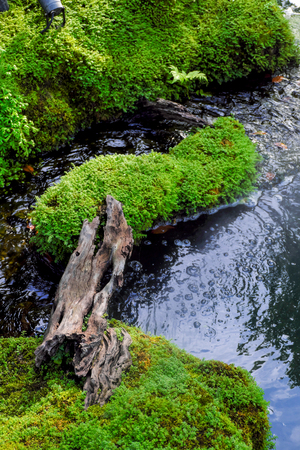 Natural water park