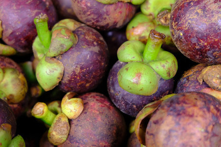 Mangosteens fresh fruit market in Thailand.の写真素材