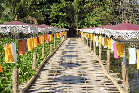 Colorful umbrellas lined up on a beautiful bamboo bridge.の写真素材