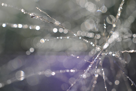 Close-up of the grass in the morning. The backdrop of the bale has natural bokeh.