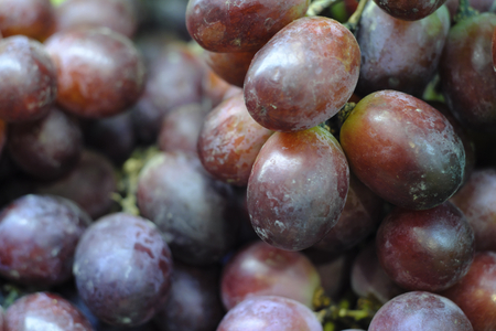 Closeup grape purple soft focusの写真素材