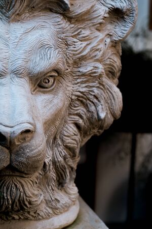 A half-face sculpture of a beautiful lion adorns the house.の写真素材