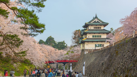 Cherry blossoms at the Hirosaki Castle Park in Hirosaki, Aomori, Japanのeditorial素材