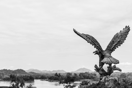 eagle expand the wings preparing to flyの写真素材