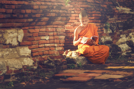 Young Buddhist novice monk reading and study outside with a cat lying on the sideの写真素材