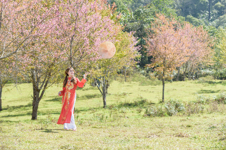 Beautiful vietnamese girl in traditional dress (ao dai) in a parkの写真素材