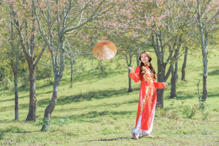 Beautiful vietnamese girl in traditional dress (ao dai) in a parkの写真素材