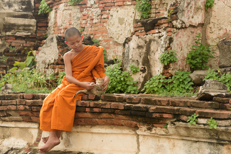 Young Buddhist novice monke with a cat lying on the sideの写真素材