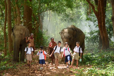 students go back home after learning by walking with friend, father and their elephantの写真素材