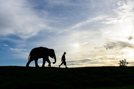 silhouette baby elephant walking follow a man with beautiful skyの写真素材