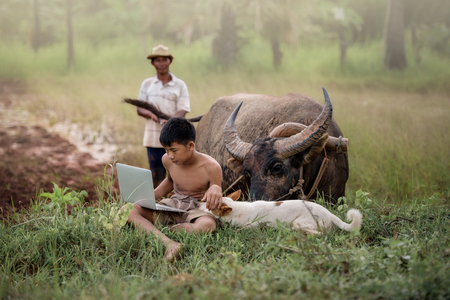 Young farmer playing  laptop with a dog  in farm field and buffalo behindの写真素材