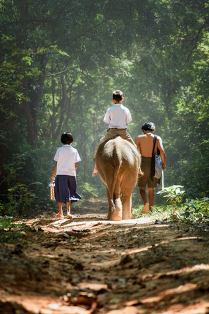 brother sister and their father go back home after learning by walking with their elephantの写真素材
