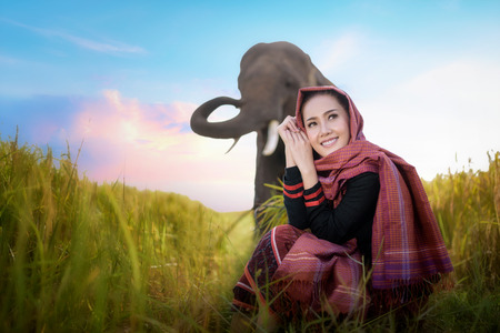 beautiful girl and elephant, elephant village, Surin, Thailand, woman harvest rice with elephant in surin Thailand, beautiful woman in farmland, woman in rice field Thailand, woman and elephant harvest in rice field with beautiful sky in Thailandの写真素材