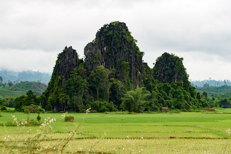 big mountains surrounded by rice field with white cloudの写真素材
