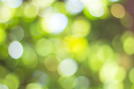Green bokeh on nature defocus art abstract blur background, natural bokeh, blurred bokeh, soft green natural bokeh background, circular green bokeh backgroundの写真素材