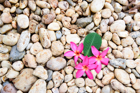 Spa concept stones and frangipani flowers with green leafの写真素材