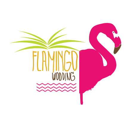 Flamingo birdのイラスト素材