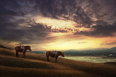 Jeju viewsの写真素材