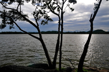 Peaceful lakeの写真素材