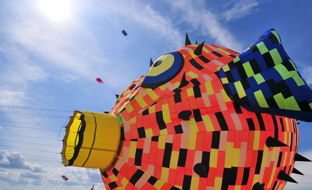 Kite and balloonのeditorial素材
