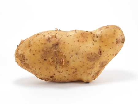 Potato on white backgroundの写真素材