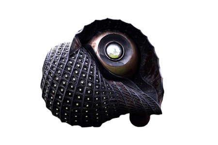 Shell sculpture is made of steel.