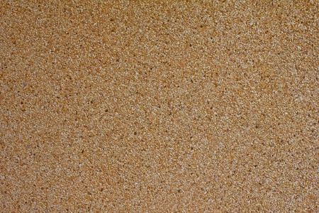 The wall の写真素材