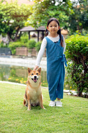 Asian girl kids standing and touching together with sitting Shiba inu dog in public park green grassの写真素材