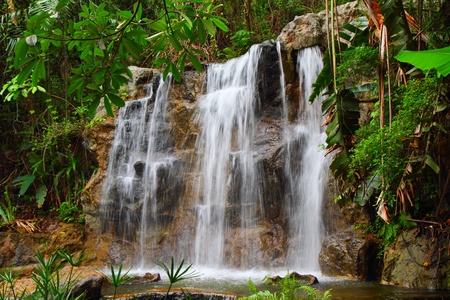 Tropical waterfall in Thailand forestの写真素材