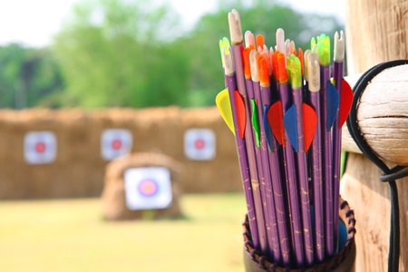 Arrows and target archery in field 