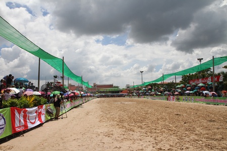 CHONBURI - OCTOBER 11 : Buffalo racing in Buffalo Racing Festival on October 11, 2011. Buffalo Racing Festival is a tradition of Chonburi, Thailand. By this time held at 140th のeditorial素材