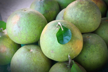 Grapefruit in the market の写真素材