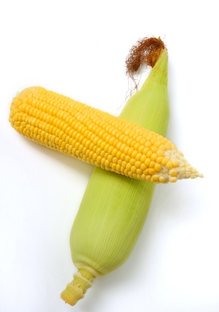 Corn on white background の写真素材