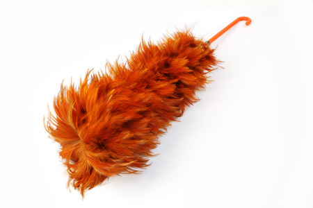 Feather duster isolated on white background の写真素材