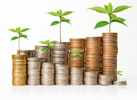 Plant growing from coins over white background.の写真素材