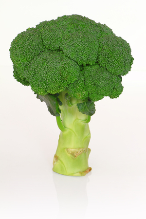 Fresh of broccoli isolated on white background.の写真素材