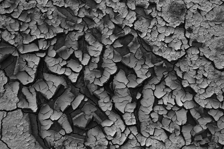 Dry cracked earth or clay desert textured background.の写真素材