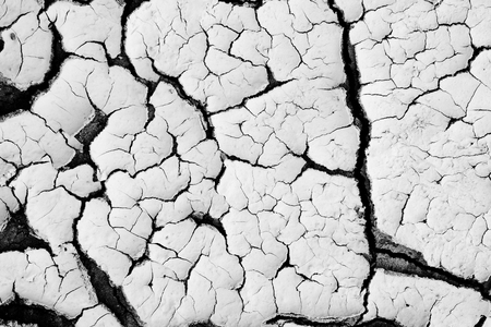 Dry cracked earth or clay desert textured background.の写真素材
