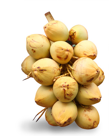 Group of fresh young coconuts isolated on white background, clipping path.の写真素材