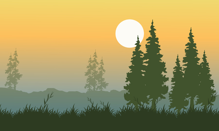 Landscape of spruce with orange sky vector artのイラスト素材