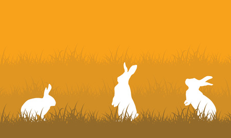 White rabbit on hill landscape vector collectionの写真素材